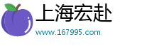 上海宏赴